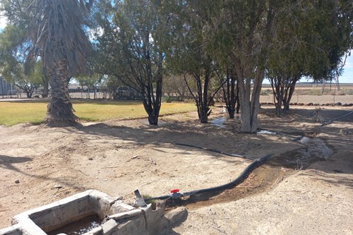 3 Bedroom Property for Sale in Calvinia Rural Northern Cape